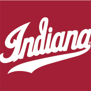Indiana University IU Hoosiers Xbox 360 (Includes HDD) Skin